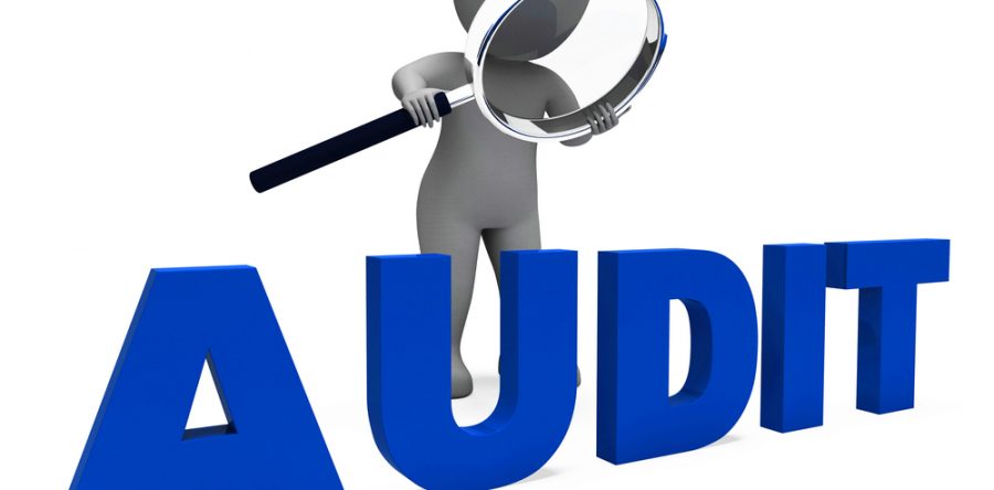 You have an appointed audit and you don’t have any idea how to prepare your documents?