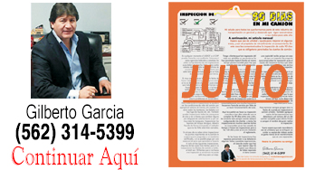 INSPECCION DE 90 DIAS EN MI CAMION